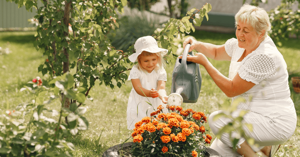 Ältere Frau gießt mit einem kleinen Mädchen orangefarbene Blumen im Garten