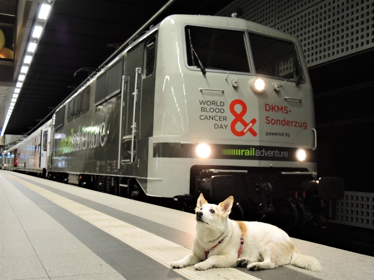 DKMS Sonderzug