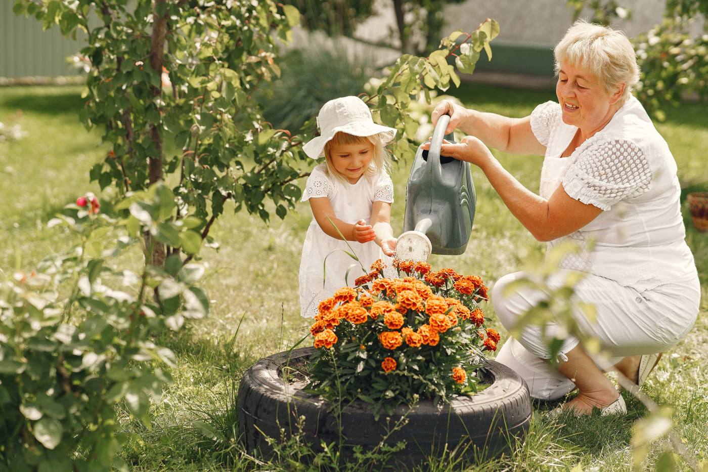 Ältere Frau gießt mit einem kleinen Mädchen orangefarbene Blumen im Garten