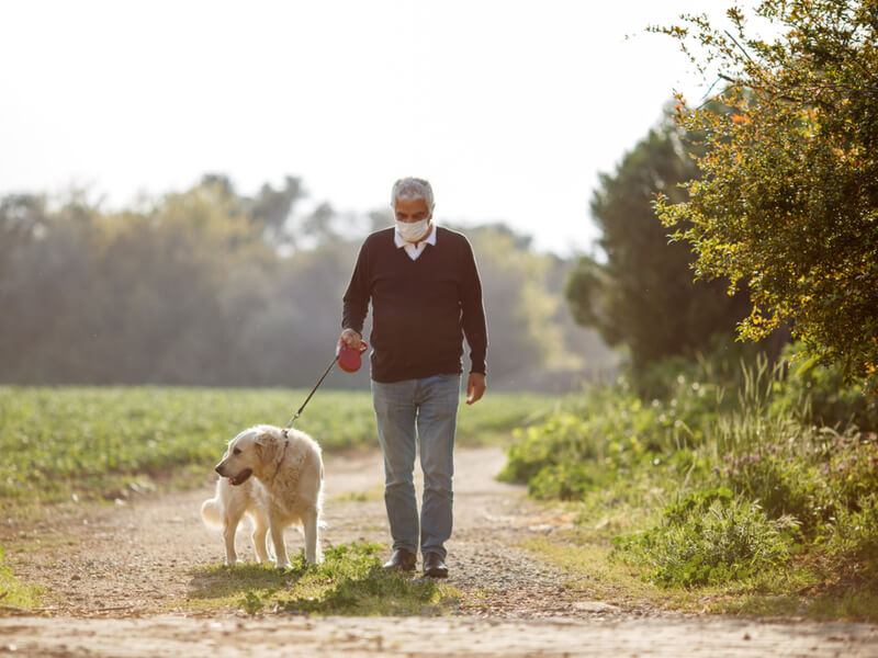 Älterer Mann geht mit seinem Hund auf Feldweg spazieren